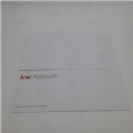#10 envelope gummed