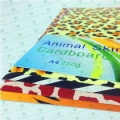 A4 animal printing paper