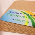 nature craft paper & cardboard A4